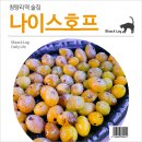 나이스호프 이미지