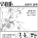 갈 5:22-23 오직 성령의 열매는 사랑과 희락과 화평과 오래 참음과 자비와 양선과 충성과 온유와 절제니 이같은 것을 금지할 법이 없 이미지