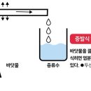 해수네 이미지