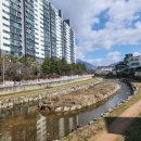 안림엘지 이미지