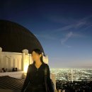 택시커뮤니케이션 | la 공항에서 시내 한인택시 내돈내산 후기 한인타운 다운타운 호텔 lax 엘에이 공항 픽업 드롭