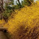 서울영일초등학교 이미지