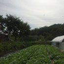 남동족구장 이미지