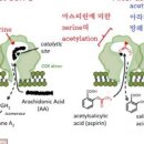 한국의약 이미지