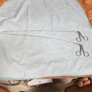 STORZ 27175A flexible foreign body removal forceps 이미지