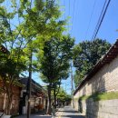 서순라길 이미지