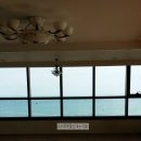 트럼프월드마린 이미지