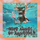 컴마 - 전주시 덕진구 용정길 46 | 인천공항 고프로대여 컴마 고프로12 내돈내산 후기