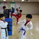 엘리트석사태권도 이미지