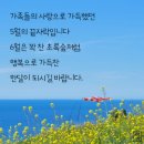 천사의 선물 이미지