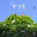 주식회사 마인드