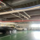 웰빙요가 | 웰빙클럽 가능한 시설좋은 사우나 헬스장 진미선 스포렉스 내돈내산 후기