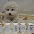 무한뽑기 이미지