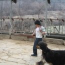 골든블랙123 이미지