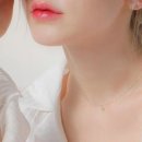 G0273 이미지