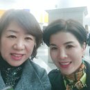 인셀덤구미
