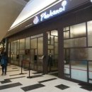 포하노이 이미지