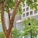 엘케이키친 이미지