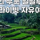 자유여행사 주식회사