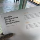 서울 LH 집구하기: LH청년전세임대주택 후기(지역변경,방구하는법,계약과정)