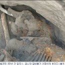 맘모스 - 부천시 원미구 소향로13번길 28-14 | 맘모스