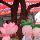 대한불자 가수 36주년 기념법회 및 공연 이미지