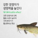 [종편] 역대급 반응이 안좋은 남메기 이미지