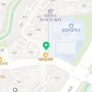 용인대양지태권도장 이미지