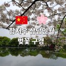 서호달빛 | 항저우 삼담인월 벚꽃 서호 유람선 여행 산책후기