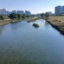 서대전육교밑 이미지