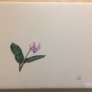 화정도서관 꽃뜰 이미지