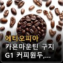 에티오피아 카욘마운틴 구지 G1 커피원두, 특징과 선택 기준 정리 이미지