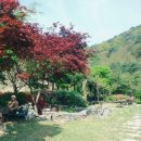 황룡농장 이미지