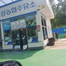 토성주유소 이미지