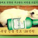 복달이 이미지