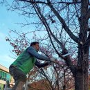 온천2동-10 이미지