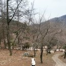 양평쉬자파크 | 양평 휴양림 양평쉬자파크 산책로 놀이터 간단후기