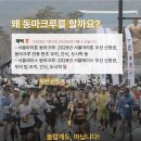 동마 | 2026 서울마라톤 동마크루 모집 혜택 신청 접수 일정
