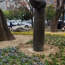 자연+인간+우연 이미지