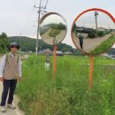 월하공원 이미지