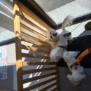 몽몽이발소 이미지