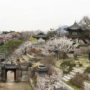 스테이 인가 이미지