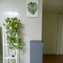 인피니트짐 | 삼성 공기청정기 고민 끝! 비스포크 인피니트 라인 실사용 후기