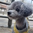 새봄동물병원 이미지