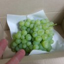 봉기농장 이미지