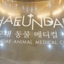 우리아이 동물메디컬센터 이미지