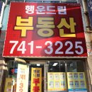 해운대행운공인중개사사무소 이미지