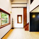 가평금잔디 이미지