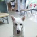 이쁘개 아름답개 이미지