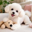 Happy tail | 무료 AI로 1분안에 살아 움직이는 영상 만들기